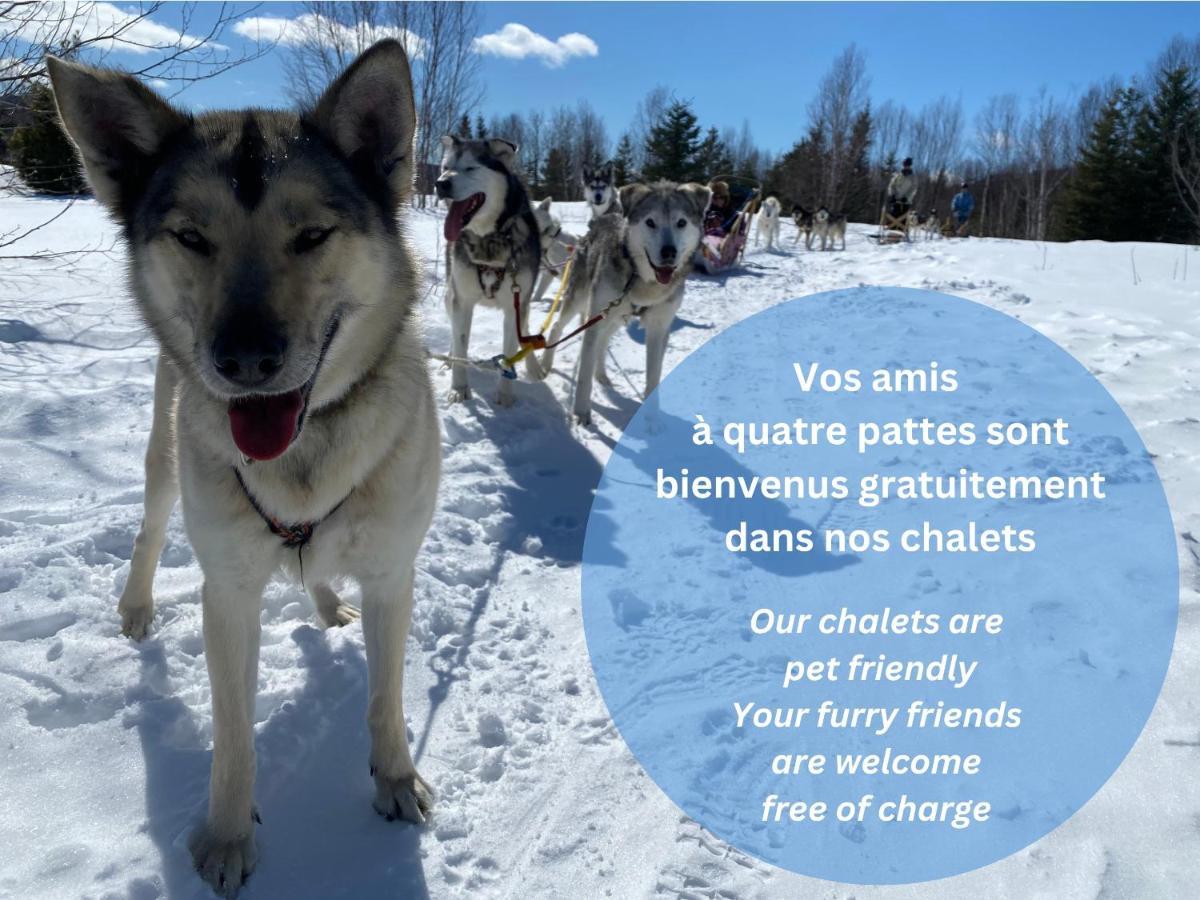WOODY - Chalets de Moh La Malbaie Buitenkant foto